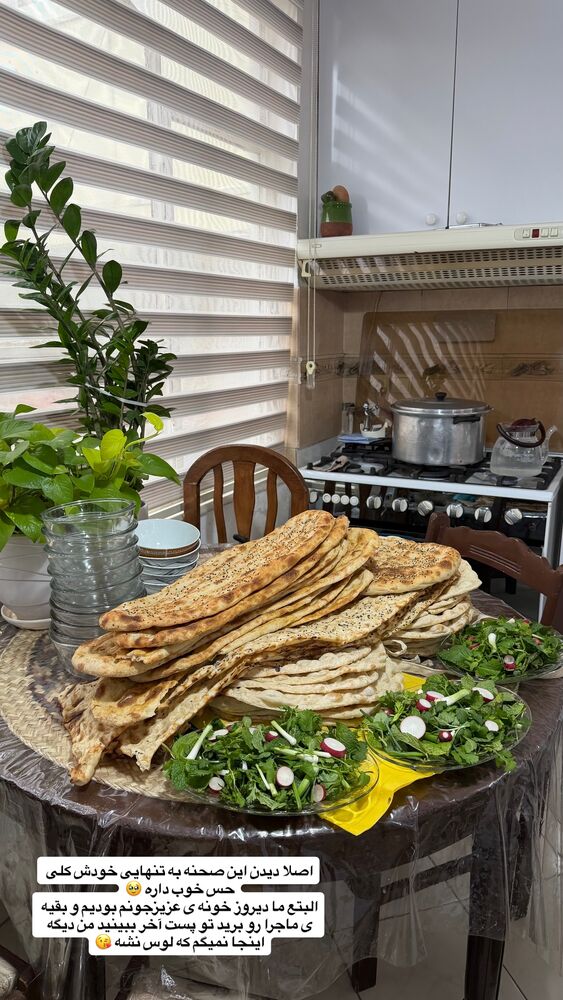 جدید ترین استوری اینستاگرام حمیده دانشور