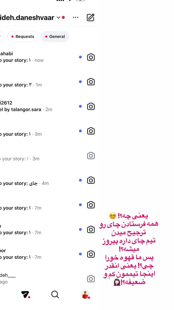  جدید ترین استوری اینستاگرام حمیده دانشور