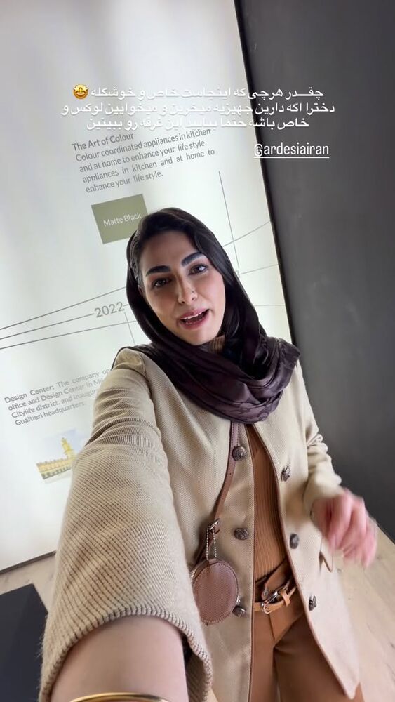  جدید ترین استوری اینستاگرام حمیده دانشور