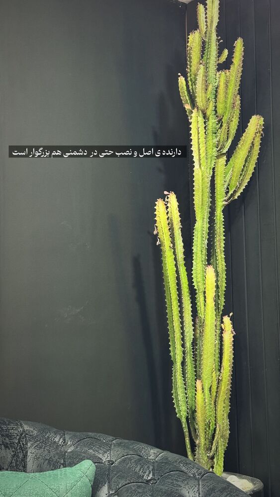  جدید ترین استوری اینستاگرام حمیده اسماعیل نژاد