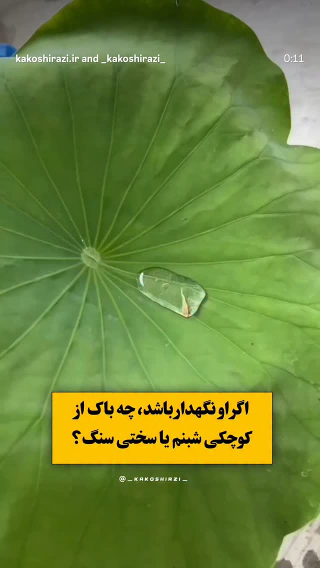  جدید ترین استوری اینستاگرام حمیده اسماعیل نژاد