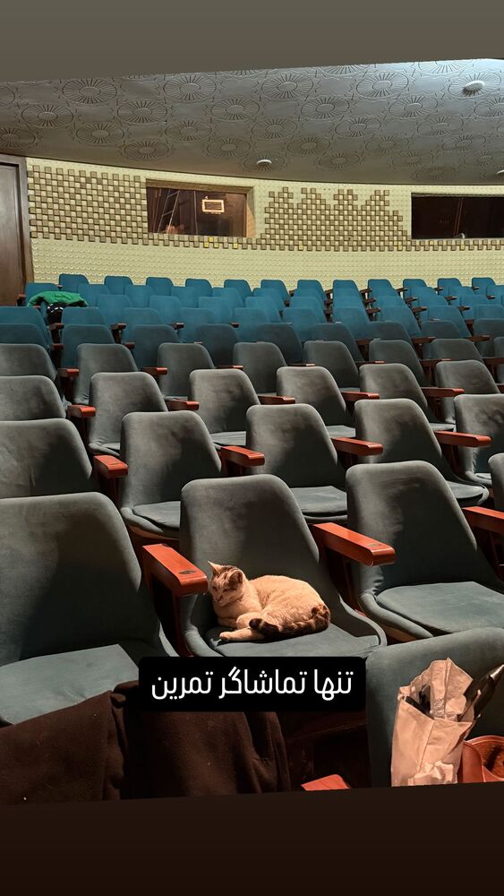  جدید ترین استوری اینستاگرام حمید گودرزی