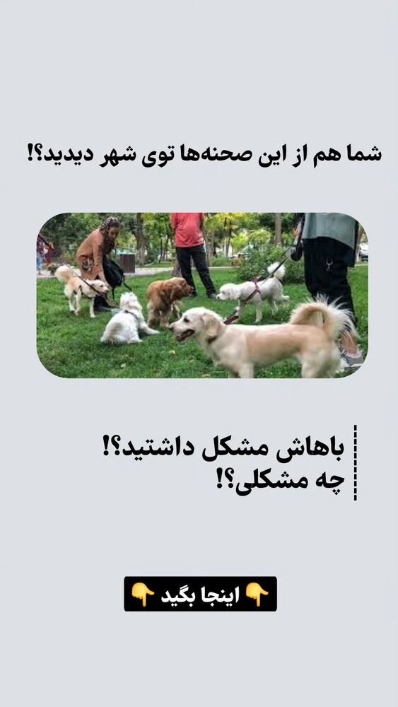  جدید ترین استوری اینستاگرام حمید کثیری