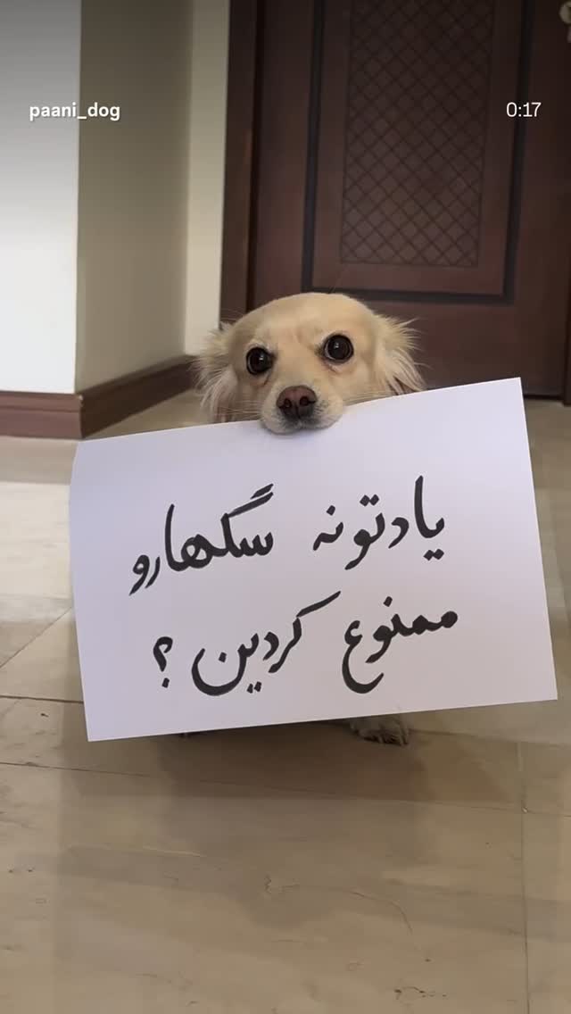  جدید ترین استوری اینستاگرام حمید خندان