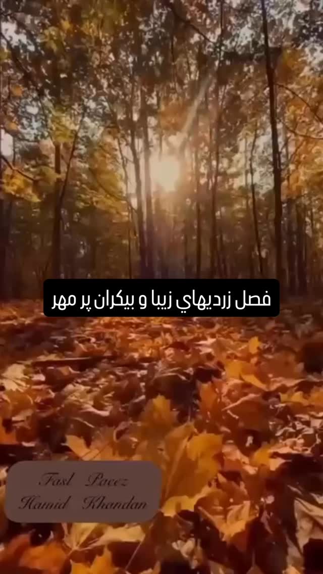 جدید ترین استوری اینستاگرام حمید خندان
