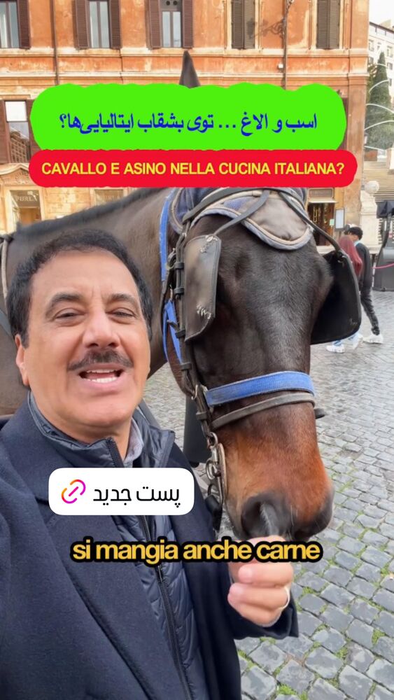  جدید ترین استوری اینستاگرام حمید معصومی نژاد