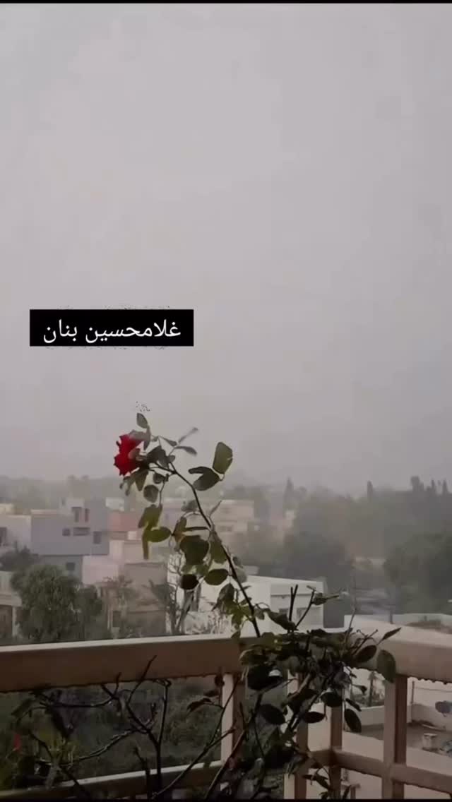  جدید ترین استوری اینستاگرام حمید محمدی