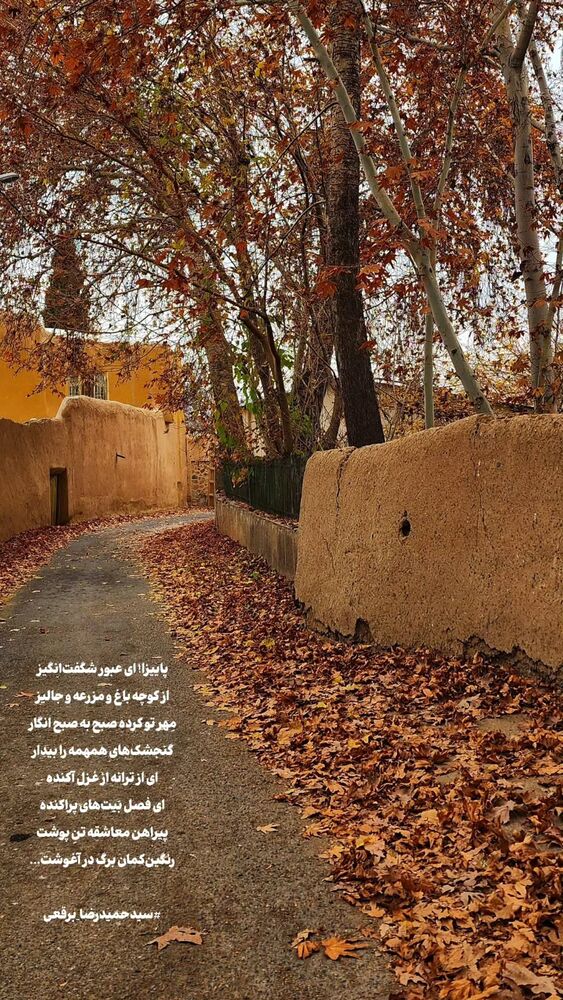  جدید ترین استوری اینستاگرام سید حمیدرضا برقعی