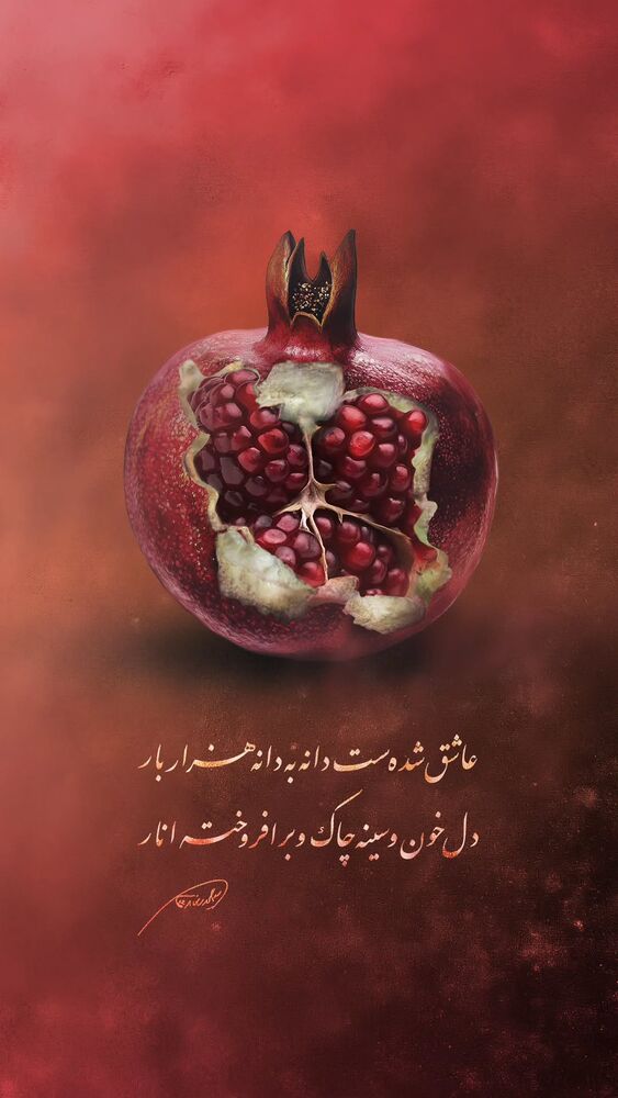 جدید ترین استوری اینستاگرام سید حمیدرضا برقعی