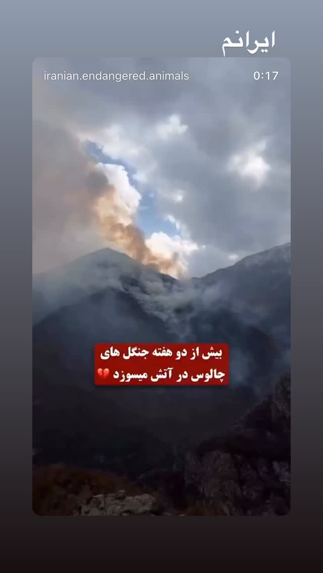  جدید ترین استوری اینستاگرام حمید صفت