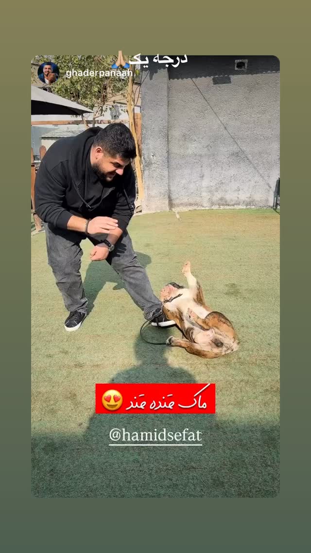  جدید ترین استوری اینستاگرام حمید صفت