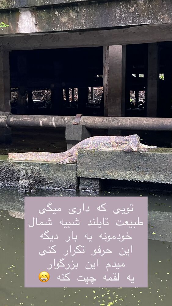  جدید ترین استوری اینستاگرام هانا ظاهری