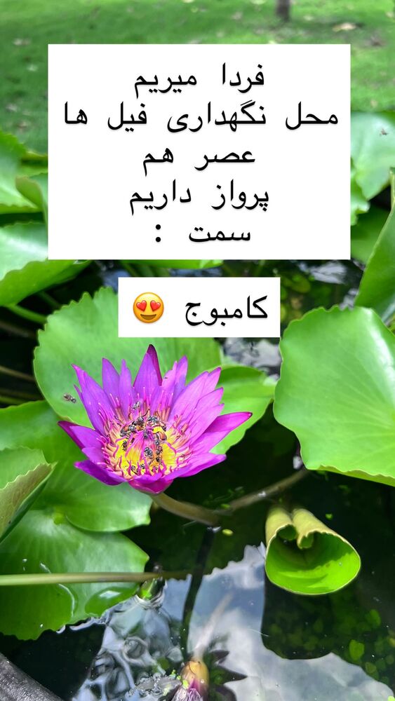  جدید ترین استوری اینستاگرام هانا ظاهری