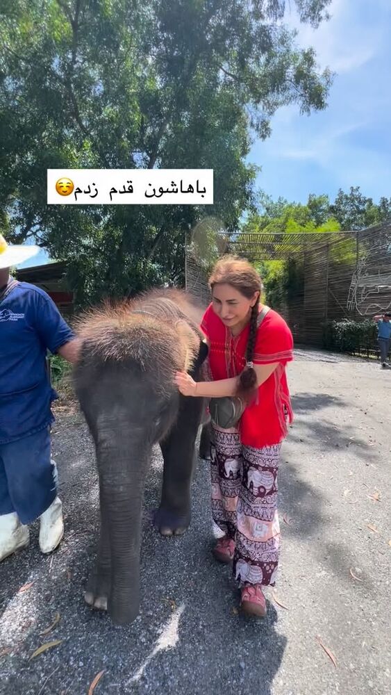  جدید ترین استوری اینستاگرام هانا ظاهری