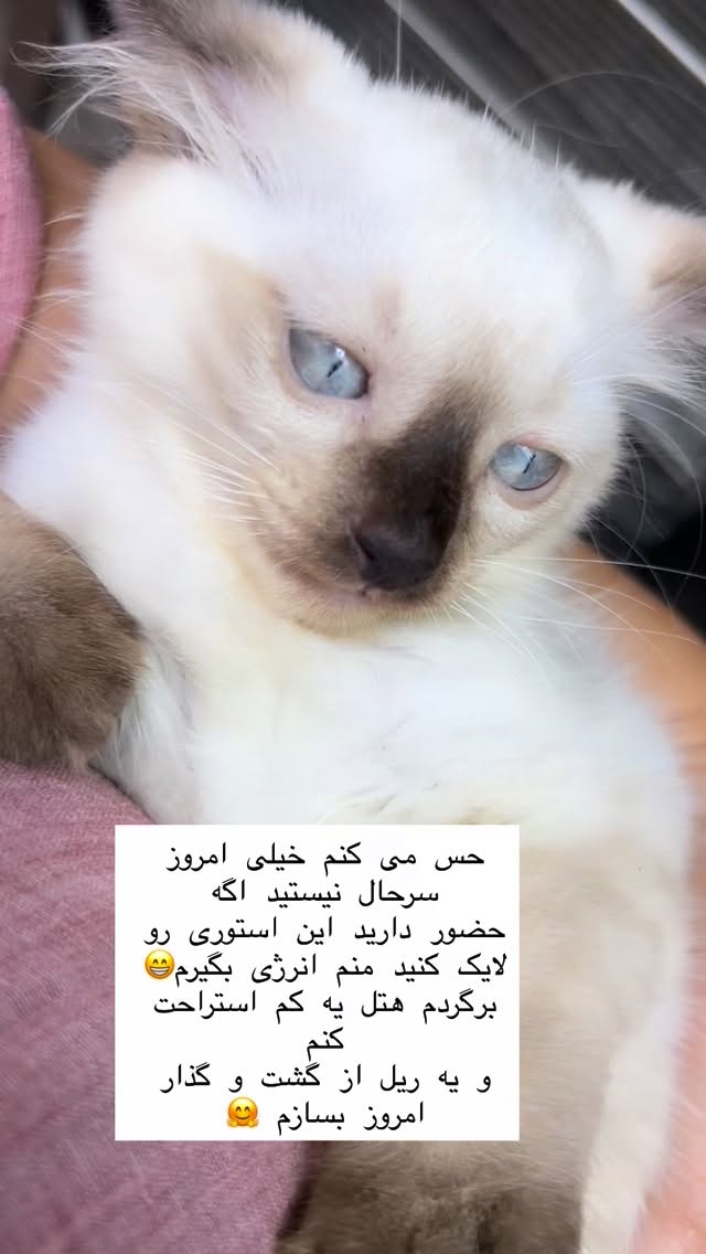  جدید ترین استوری اینستاگرام هانا ظاهری