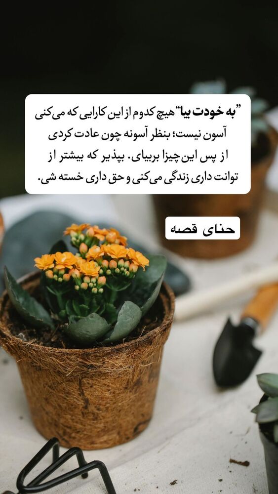  جدید ترین استوری اینستاگرام هانا ظاهری