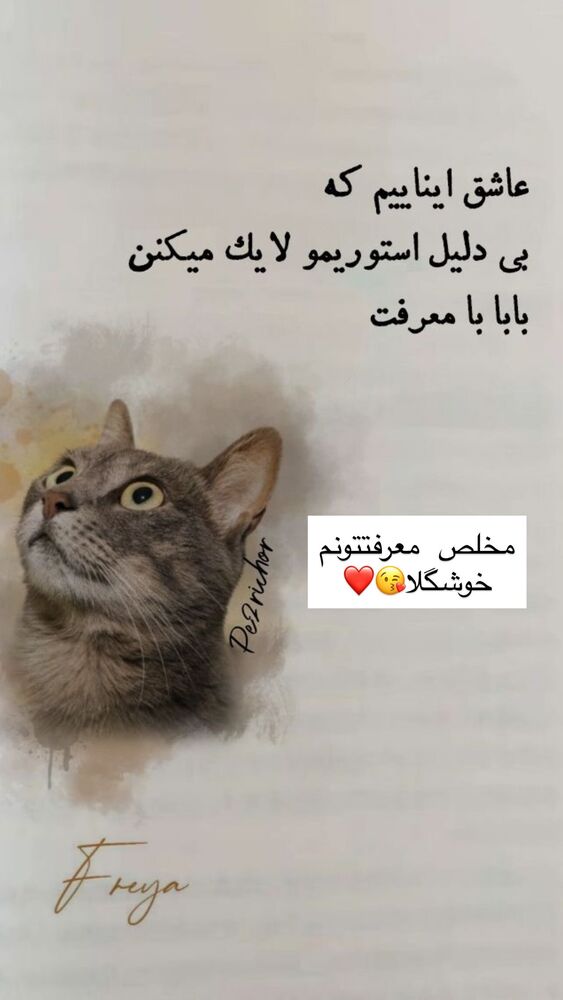 جدید ترین استوری اینستاگرام هانا ظاهری