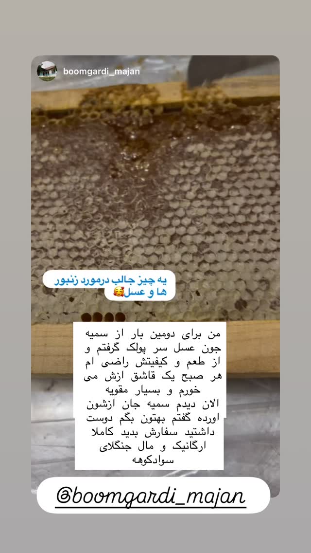  جدید ترین استوری اینستاگرام هانا ظاهری