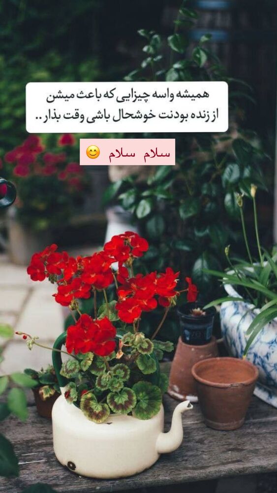  جدید ترین استوری اینستاگرام هانا ظاهری
