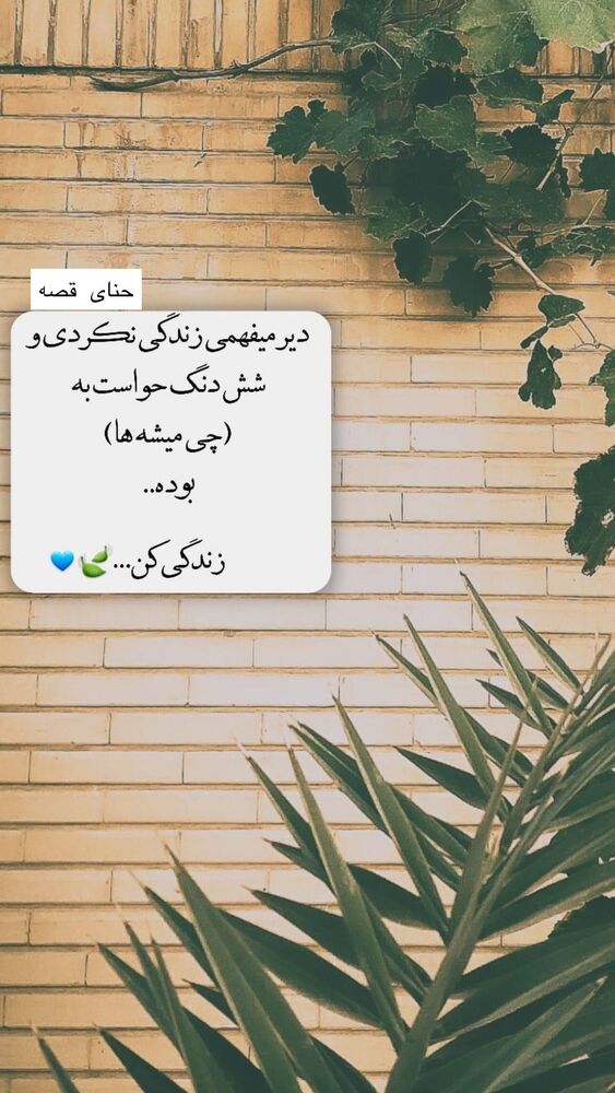 جدید ترین استوری اینستاگرام هانا ظاهری