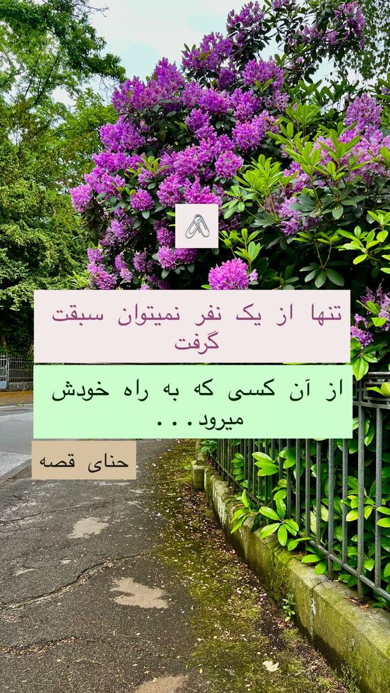  جدید ترین استوری اینستاگرام هانا ظاهری