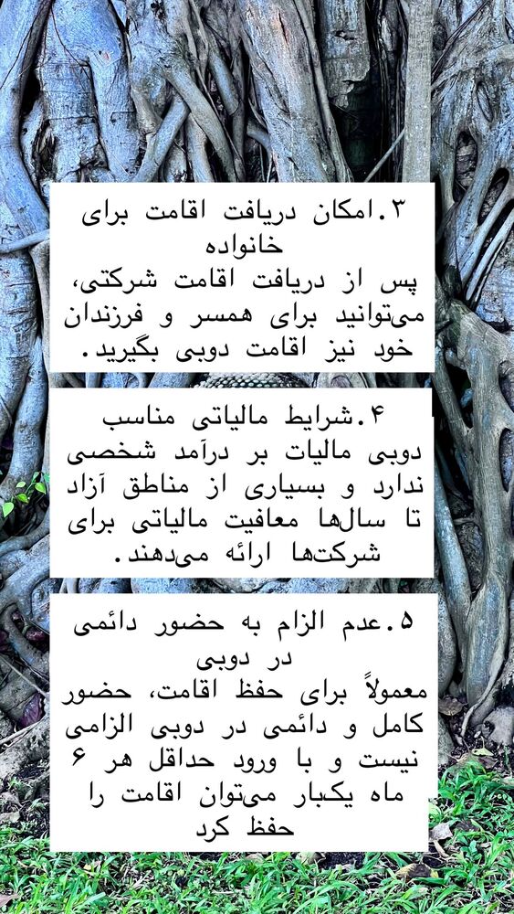  جدید ترین استوری اینستاگرام هانا ظاهری