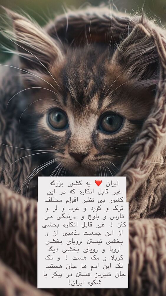  جدید ترین استوری اینستاگرام هانا ظاهری