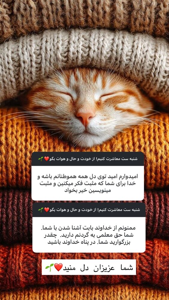  جدید ترین استوری اینستاگرام هانا ظاهری