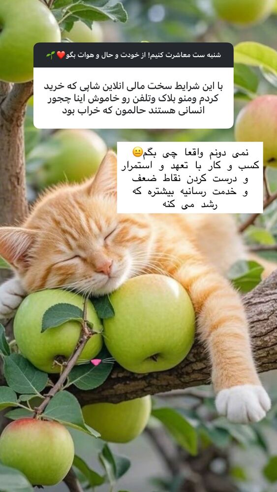  جدید ترین استوری اینستاگرام هانا ظاهری