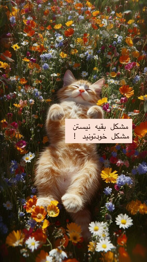  جدید ترین استوری اینستاگرام هانا ظاهری