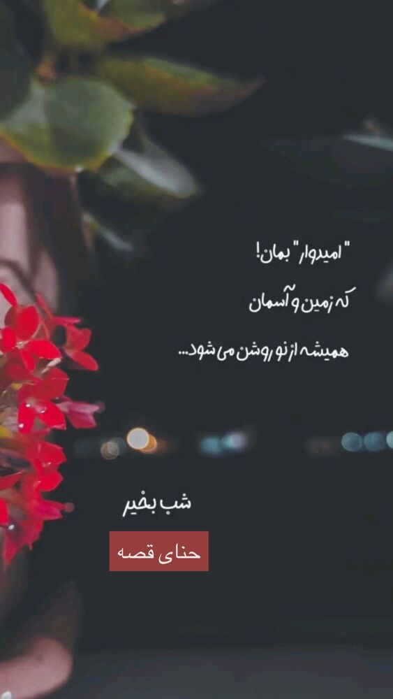  جدید ترین استوری اینستاگرام هانا ظاهری