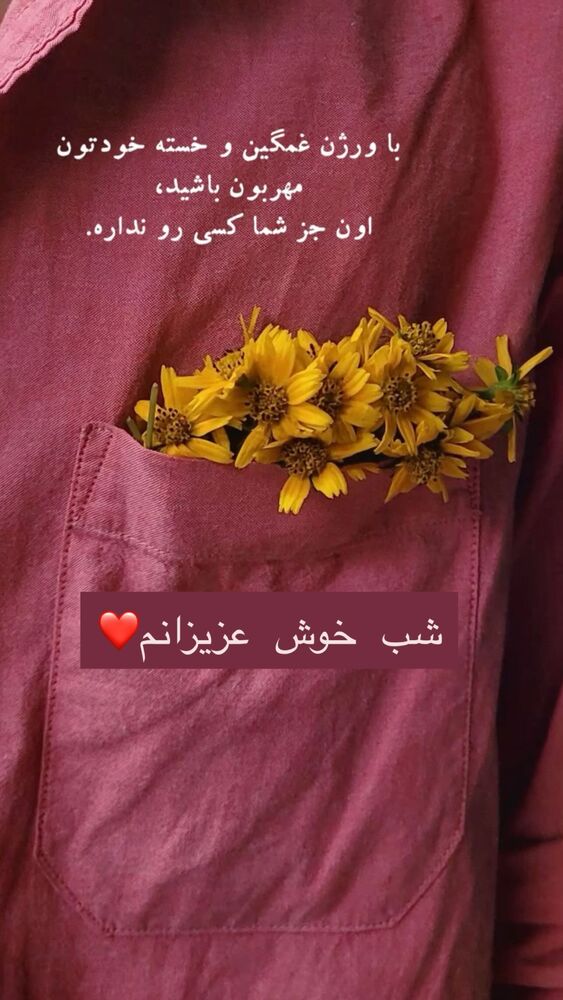  جدید ترین استوری اینستاگرام هانا ظاهری