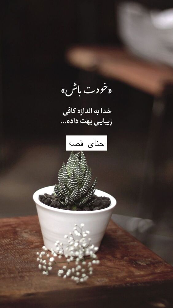  جدید ترین استوری اینستاگرام هانا ظاهری