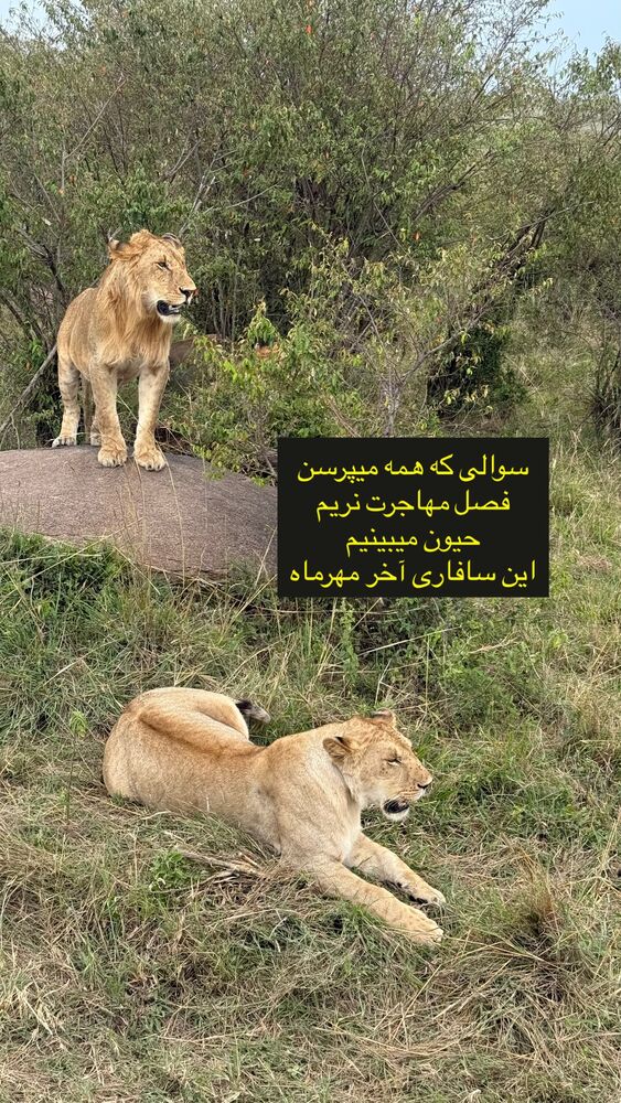  جدید ترین استوری اینستاگرام حنا سالاری