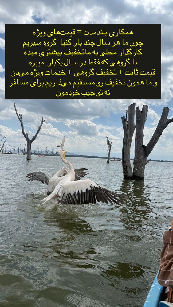  جدید ترین استوری اینستاگرام حنا سالاری