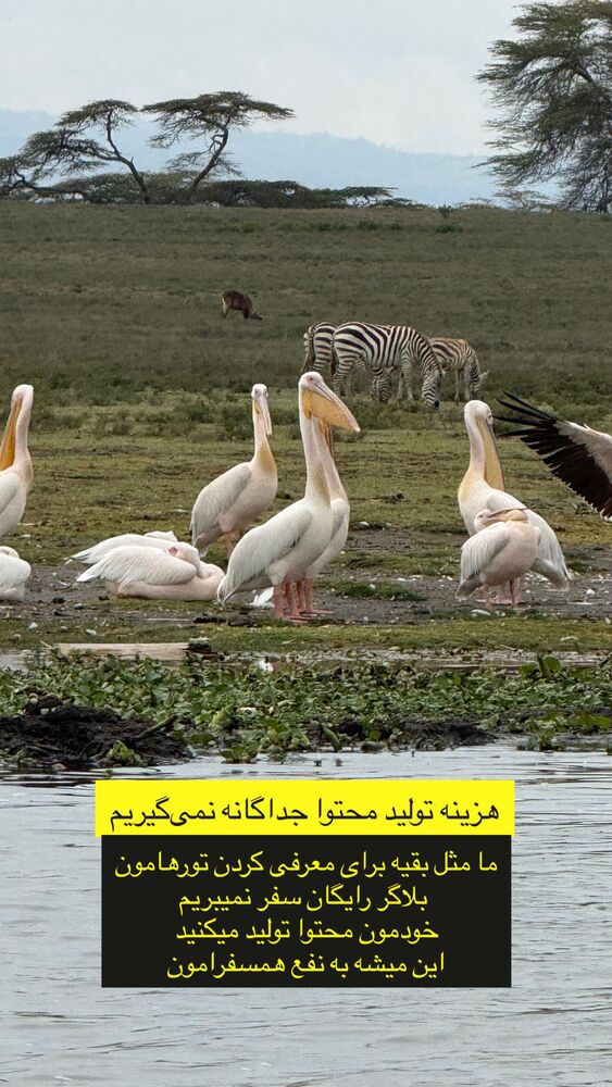 جدید ترین استوری اینستاگرام حنا سالاری