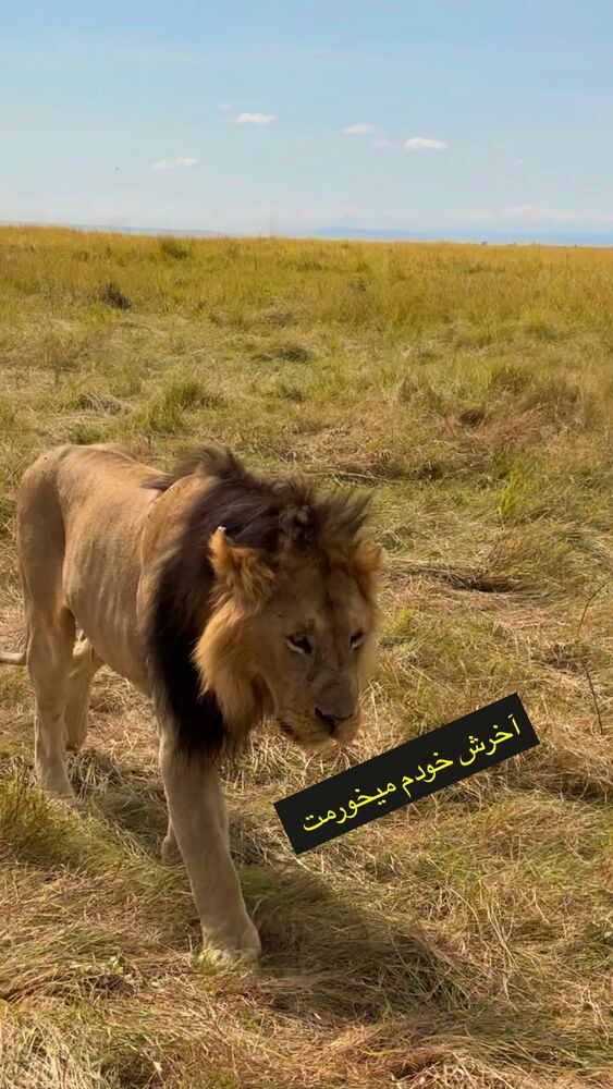  جدید ترین استوری اینستاگرام حنا سالاری