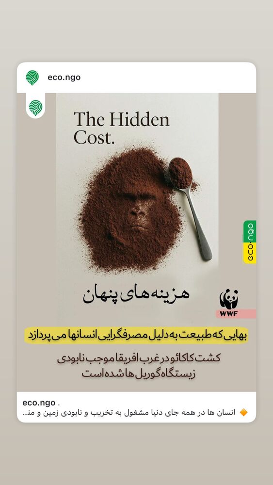  جدید ترین استوری اینستاگرام هانا کامکار