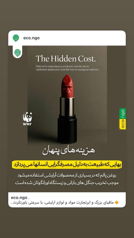  جدید ترین استوری اینستاگرام هانا کامکار