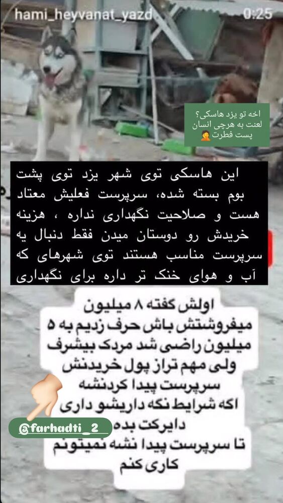  جدید ترین استوری اینستاگرام هانا کامکار