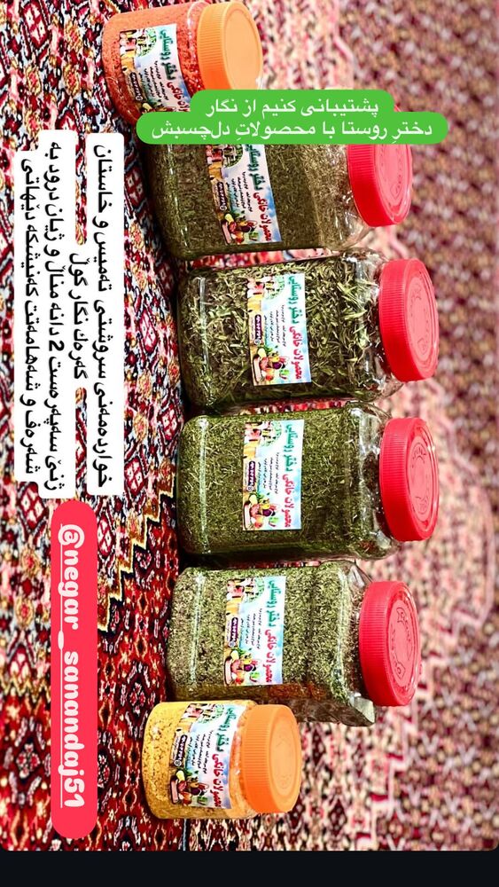  جدید ترین استوری اینستاگرام هانا کامکار