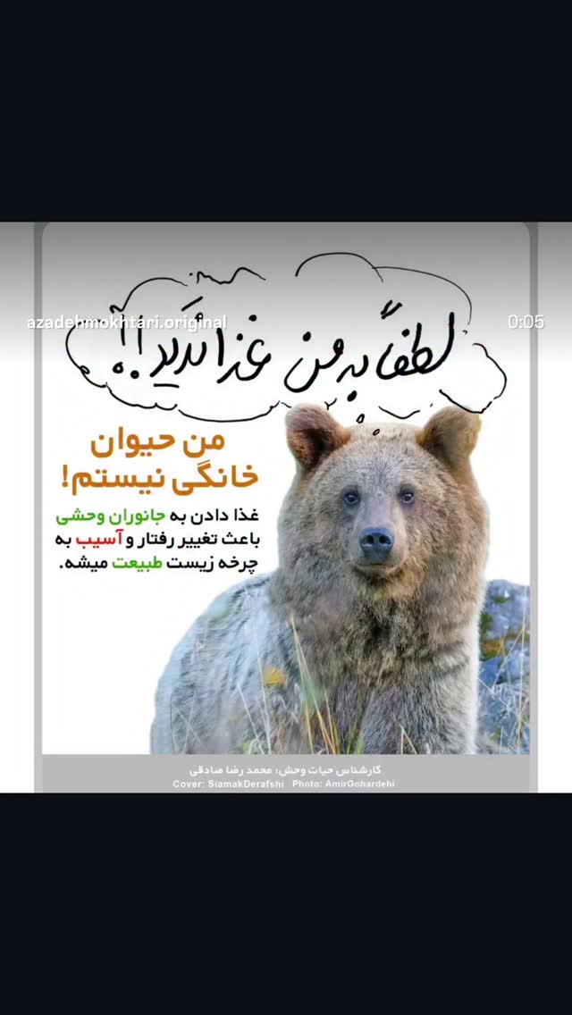  جدید ترین استوری اینستاگرام هانا کامکار