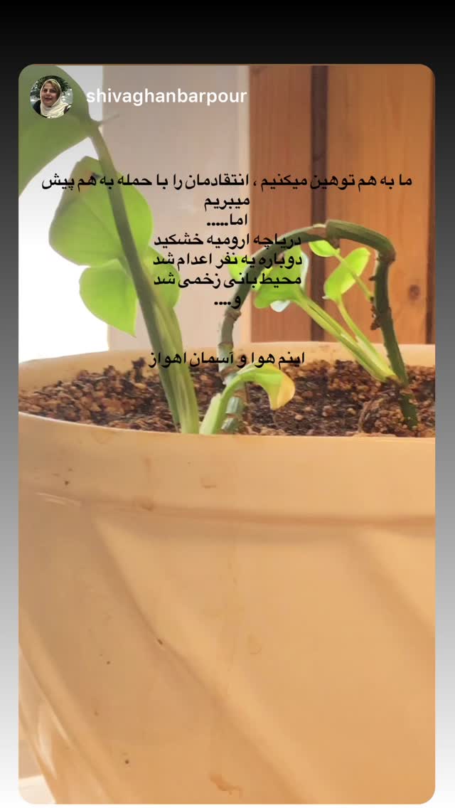  جدید ترین استوری اینستاگرام هانا کامکار