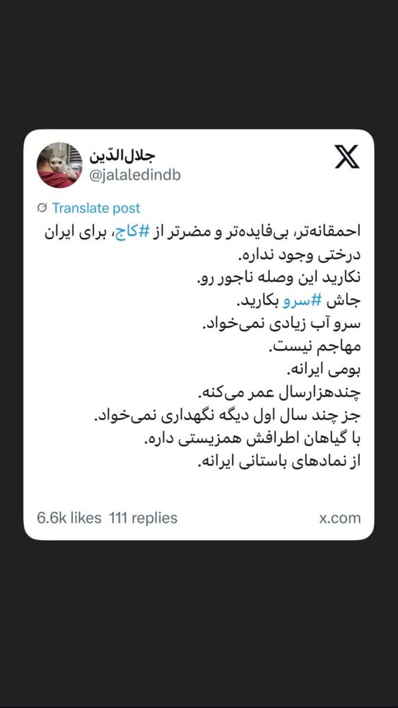  جدید ترین استوری اینستاگرام هانا کامکار