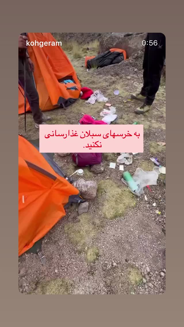  جدید ترین استوری اینستاگرام هانا کامکار