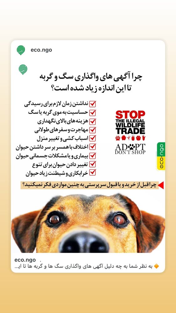  جدید ترین استوری اینستاگرام هانا کامکار