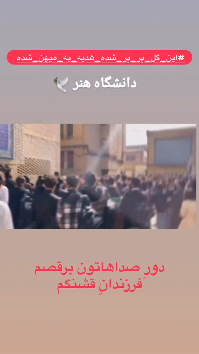  جدید ترین استوری اینستاگرام هانا کامکار