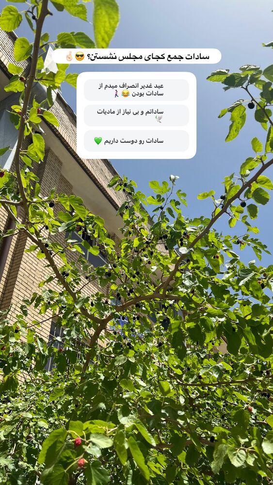  جدید ترین استوری اینستاگرام حنانه خلفی