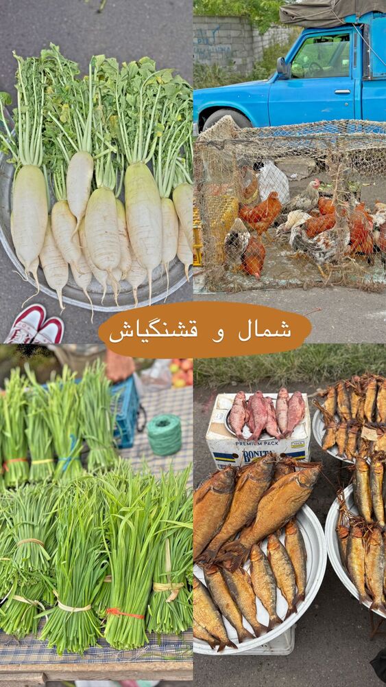 جدید ترین استوری اینستاگرام هانی