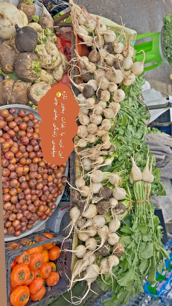  جدید ترین استوری اینستاگرام هانی